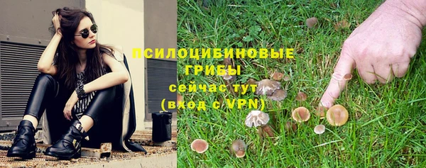 герыч Зеленокумск