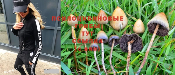 хмурый Зерноград