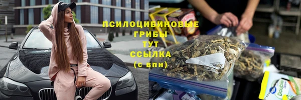 хмурый Зерноград