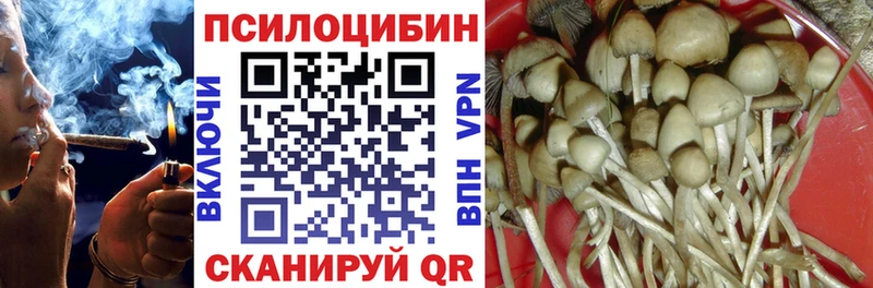 Купить закладки  Темников  Псилоцибиновые грибы MAGIC MUSHROOMS 